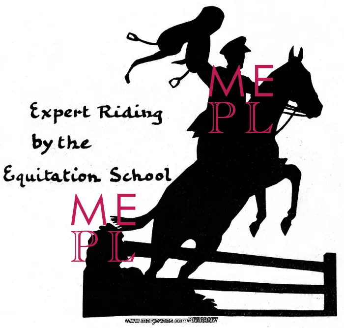 : Silhouette of expert riding, Equitation School : Silhouette of expert riding, Equitation School