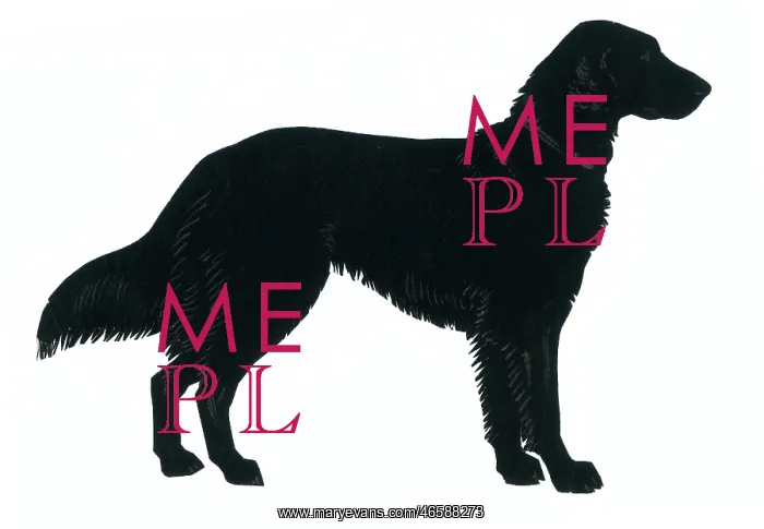  : Silhouette of a labrador retriever