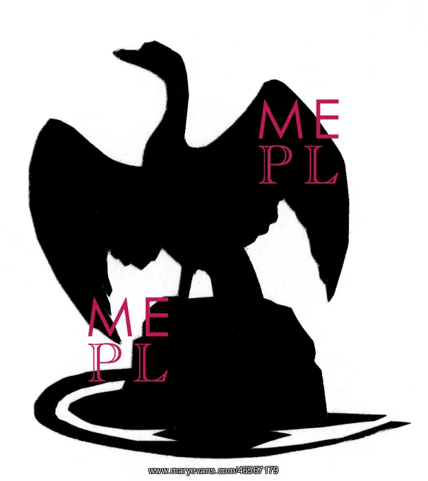 : Silhouette of a large bird on a rock : Silhouette of a large bird on a rock