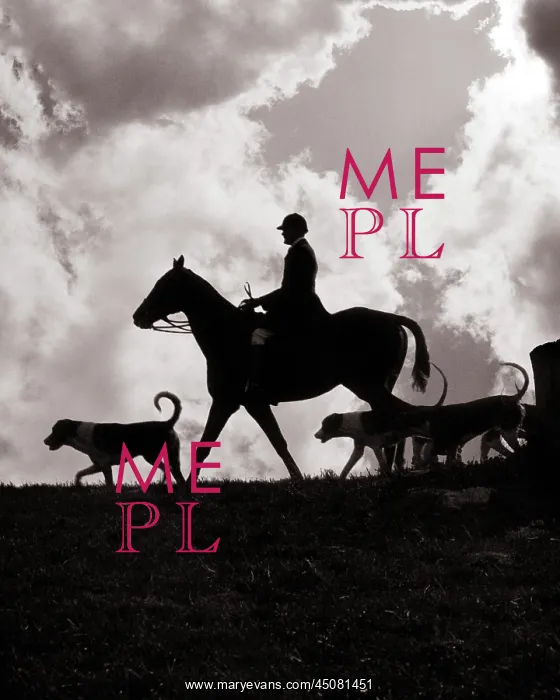 : Silhouette of Master of Hounds on Horseback : Silhouette of Master of Hounds on Horseback
