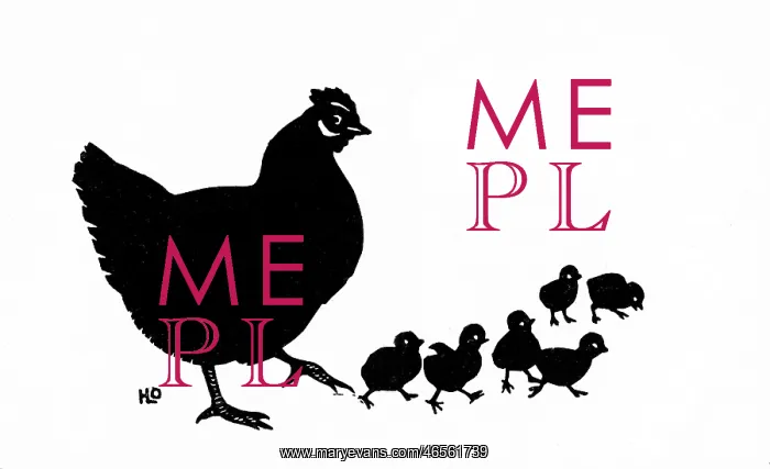 : Silhouette of mother hen with six chicks : Silhouette of mother hen with six chicks