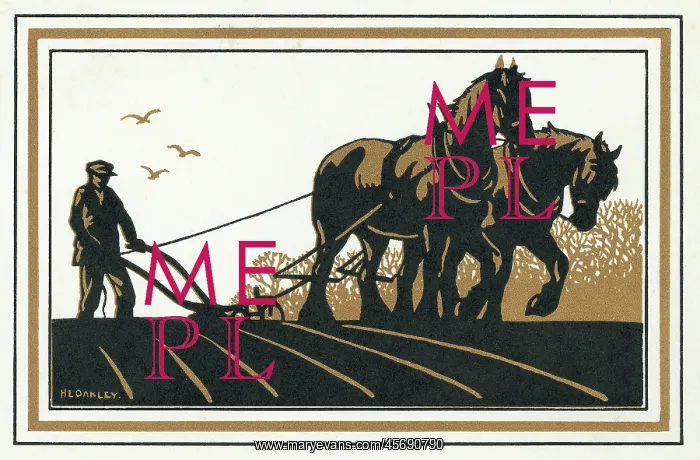 : Silhouette of ploughing scene : Silhouette of ploughing scene