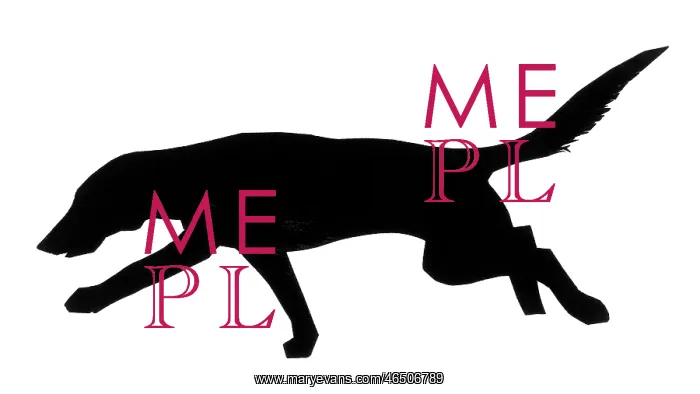  : Silhouette of a pointer