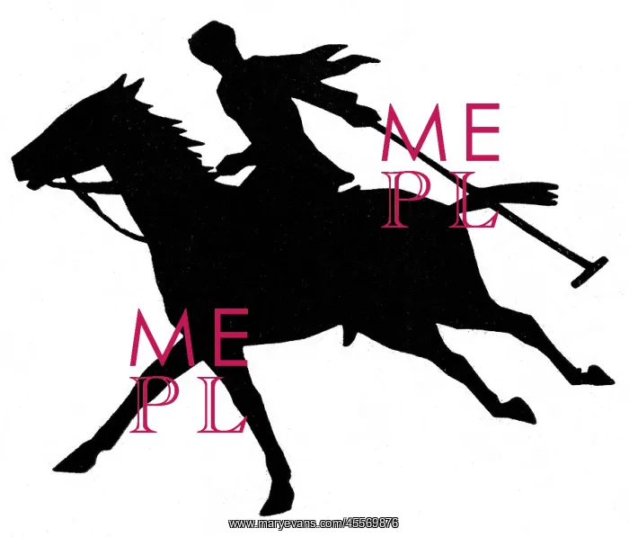 : Silhouette of polo player on horseback : Silhouette of polo player on horseback