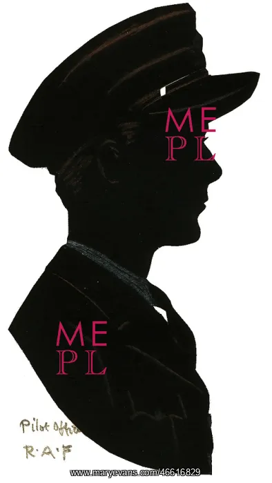  : Silhouette of an RAF pilot officer