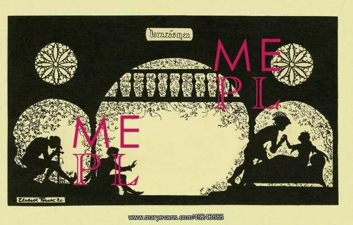 : Silhouette. The Sleeping beauty : Silhouette. The Sleeping beauty