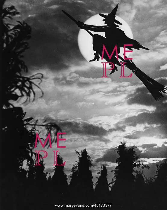 : Silhouette of Witch flying on a broom
