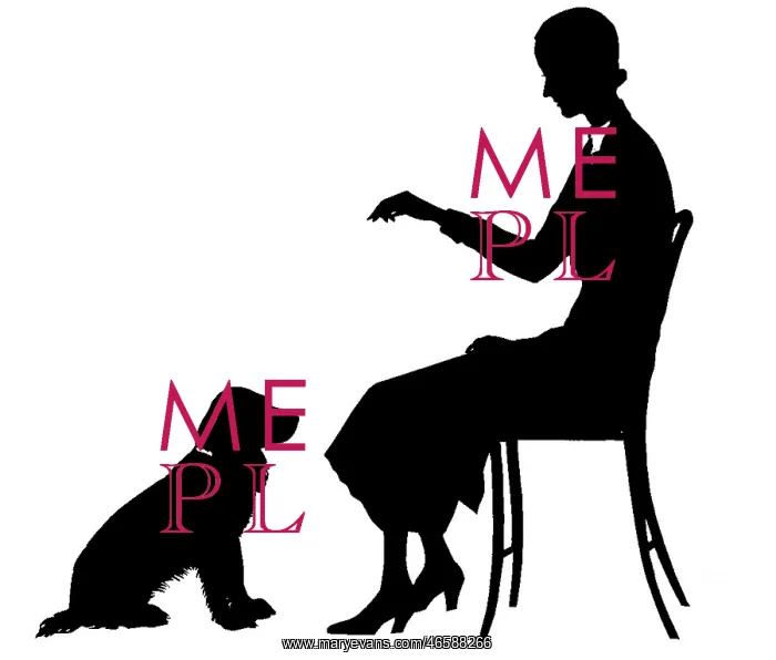  : Silhouette of woman training dog