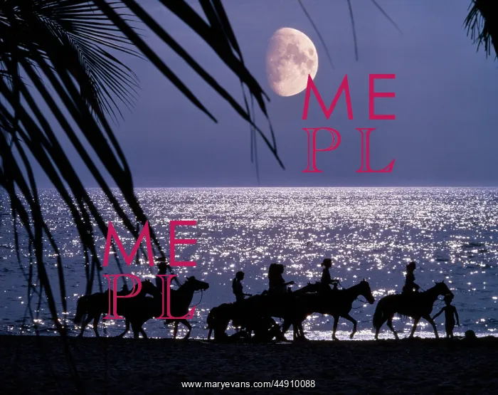 : Silhouetted Anonymous Horseback Riders on Moonlit Beach : Silhouetted Anonymous Horseback Riders on Moonlit Beach