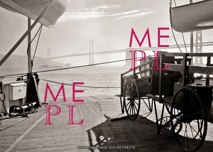 : Silhouetted Push Cart Wagons on Deck of Ferry : Silhouetted Push Cart Wagons on Deck of Ferry