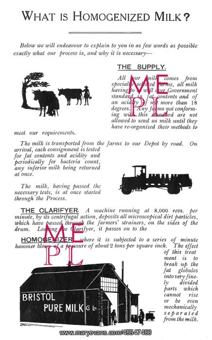 : Silhouettes for Bristol Pure Milk Co Ltd : Silhouettes for Bristol Pure Milk Co Ltd