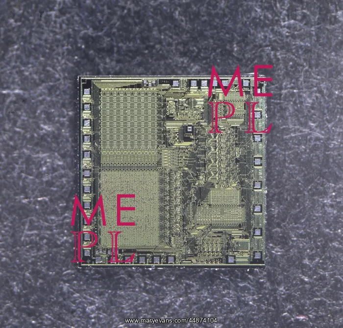  : SILICON CHIP