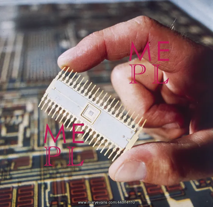  : SILICON CHIP