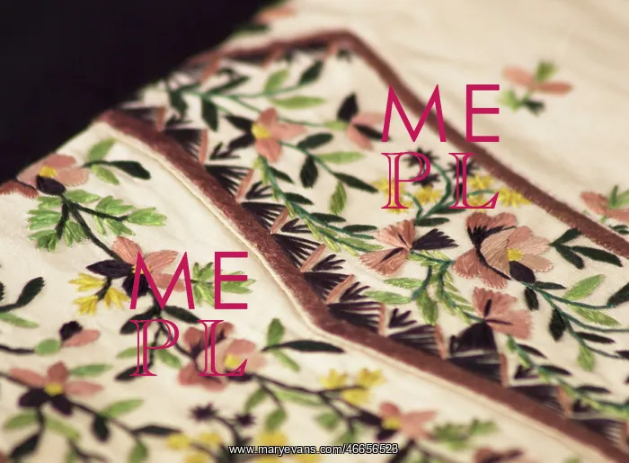 : Silk embroidered waistcoat, 1842 : Silk embroidered waistcoat, 1842