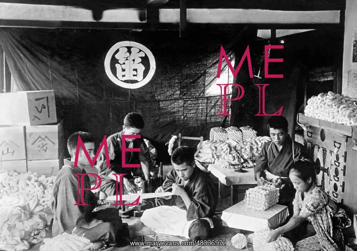 : Silk production in Japan, 1936 : Silk production in Japan, 1936