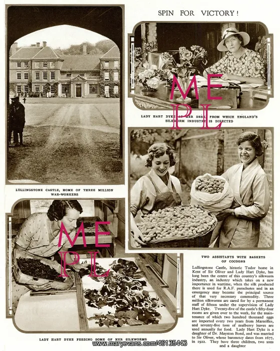 : Silk production at Lullingstone Castle : Silk production at Lullingstone Castle