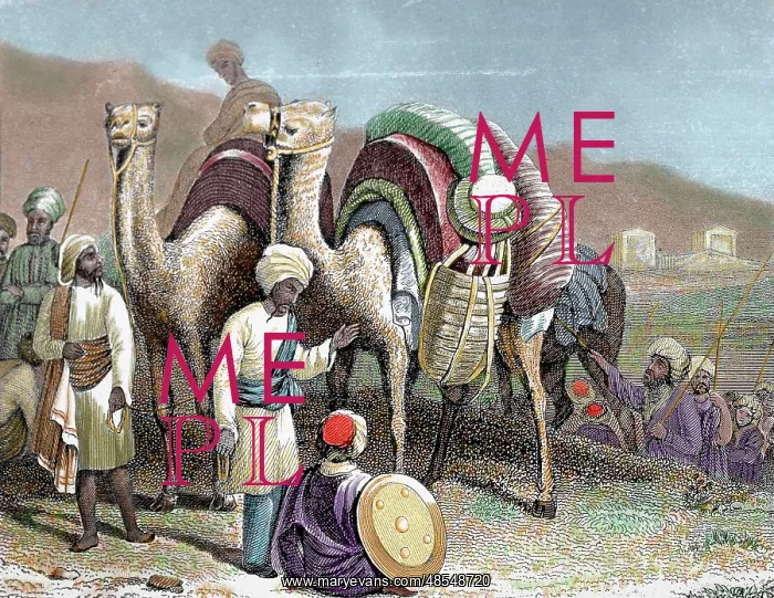 : Silk Road. Caravan of camels resting. Engraving : Silk Road. Caravan of camels resting. Engraving