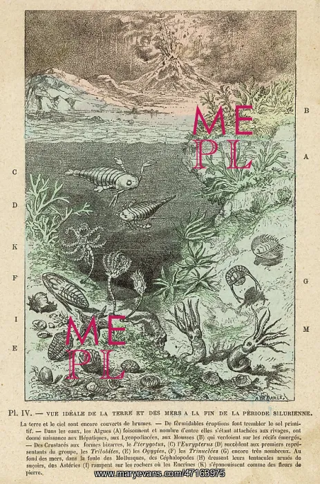  : SILURIAN SCENE