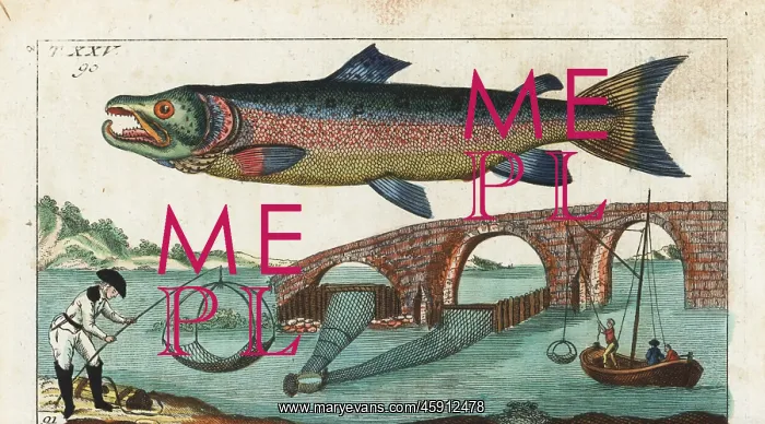 : Silver or Atlantic salmon and fishing methods : Silver or Atlantic salmon and fishing methods