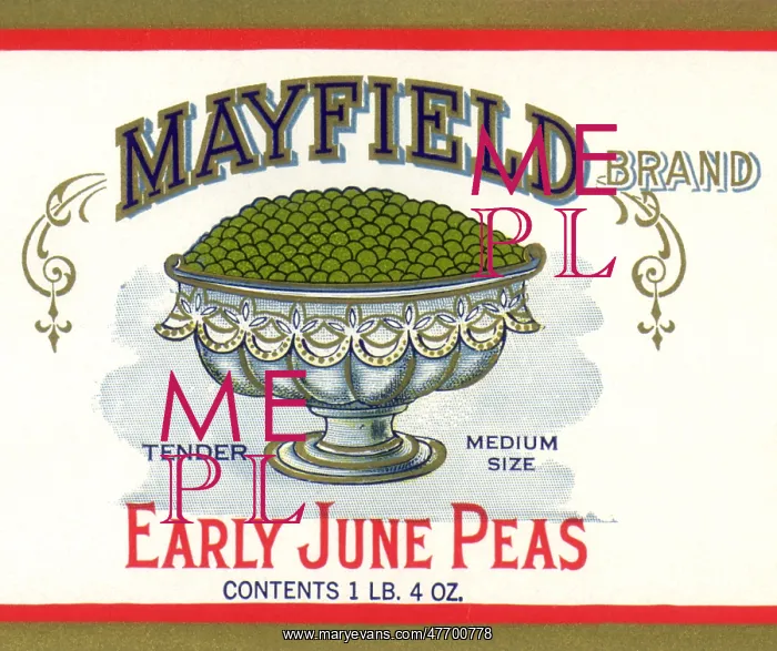  : Silver Bowl of Peas