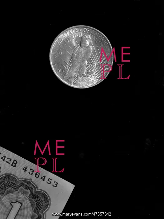  : A Silver Dollar