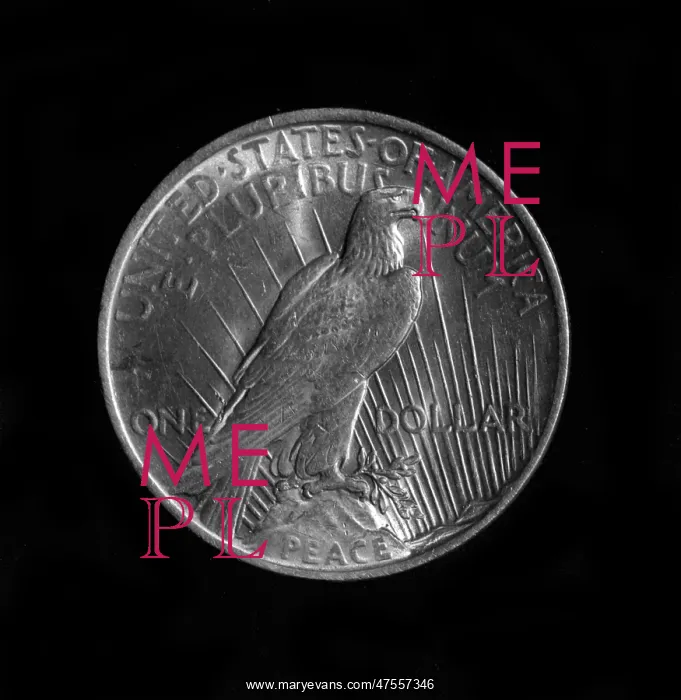  : A Silver Dollar