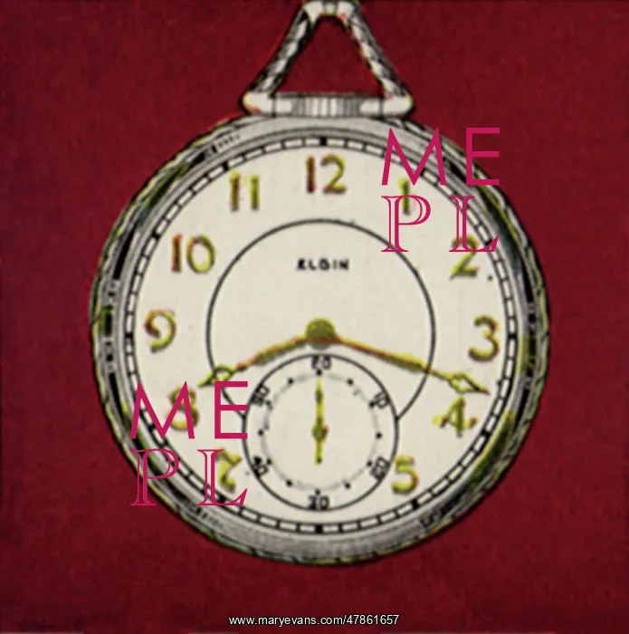 : Silver and Gold Watch