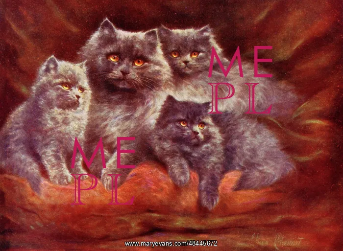 : Silver Persian Cats by Lilian Cheviot