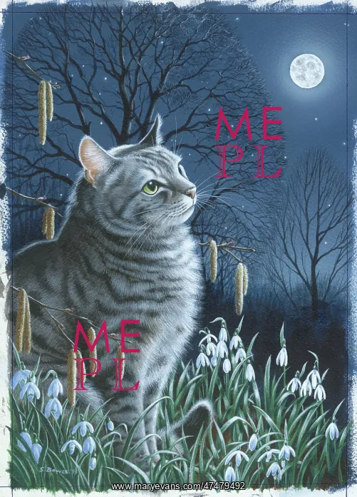  : Silver Tabby Cat by Moonlight with flowers