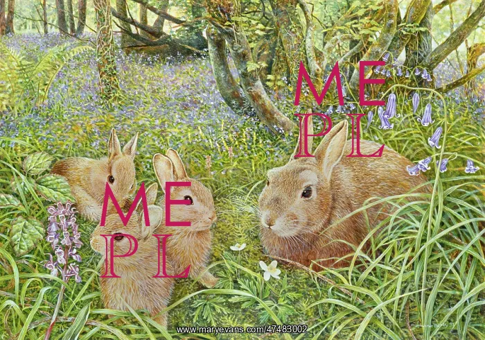 : Silverdale ' four rabbits : Silverdale ' four rabbits