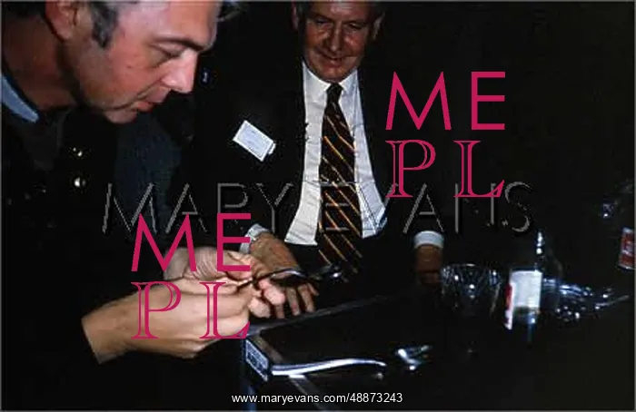 : SILVIO MEYER - 2 : SILVIO MEYER - 2