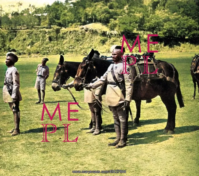 : Simla Horse Show : Simla Horse Show