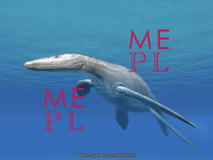 : Simolestes is an extinct pliosaur from the Middle Jurassic ? : Simolestes is an extinct pliosaur from the Middle Jurassic ?