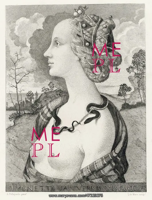 : Simonetta Vespucci : Simonetta Vespucci