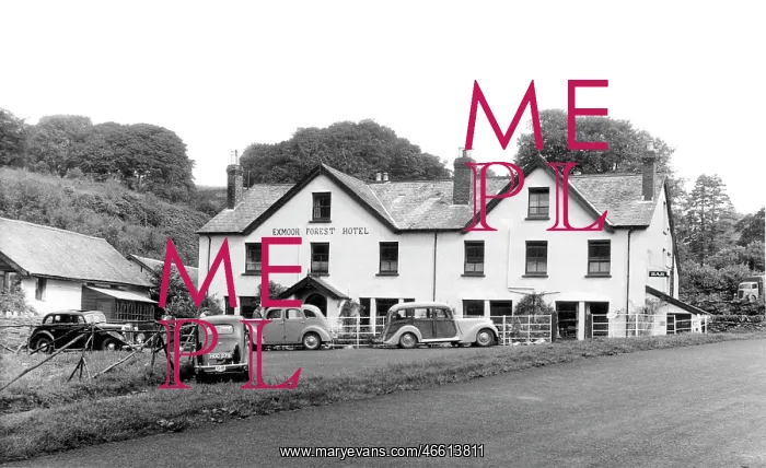  : Simonsbath, Exmoor Forest Hotel c1955