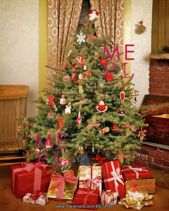 : Simple Evergreen Christmas Tree Decorated with : Simple Evergreen Christmas Tree Decorated with