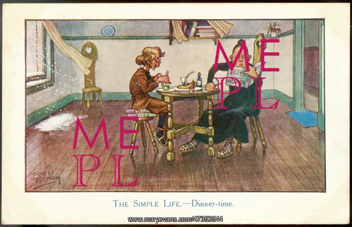 : THE SIMPLE LIFE : THE SIMPLE LIFE