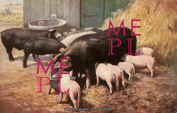  : The Simple Life