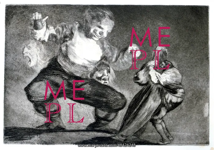 : Simpleton Artist: Francisco Goya : Simpleton Artist: Francisco Goya