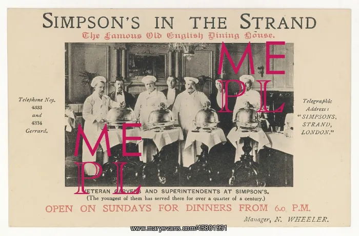 : SIMPSONS STRAND CHEFS : SIMPSONS STRAND CHEFS