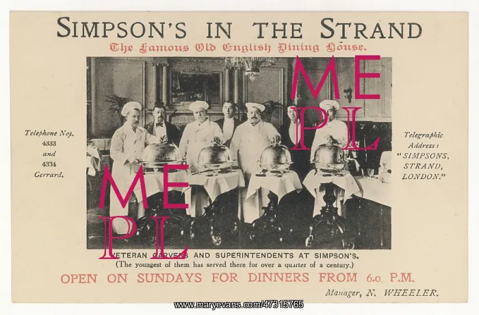 : SIMPSONS STRAND CHEFS : SIMPSONS STRAND CHEFS