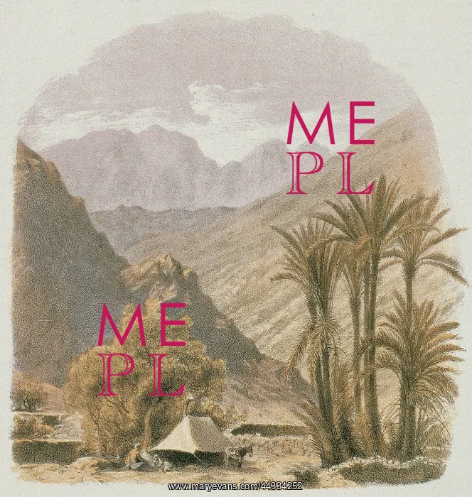 : Sinai. Etching by Bernatz et : Sinai. Etching by Bernatz et