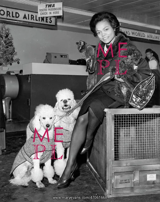 : Singer, Actress Eartha Kitt 1927 - 2008 : Singer, Actress Eartha Kitt 1927 - 2008