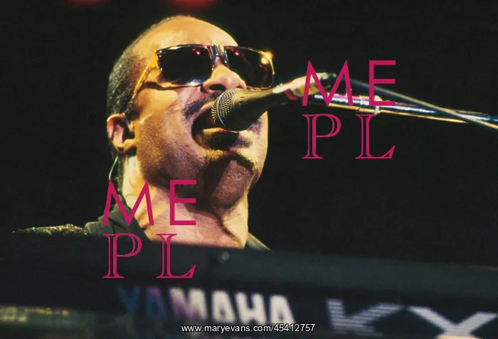 : Singer Stevie Wonder : Singer Stevie Wonder