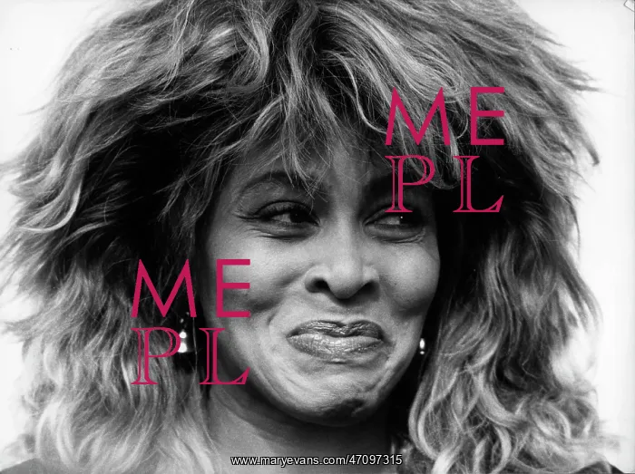 : Singer Tina Turner 1939 - : Singer Tina Turner 1939 -