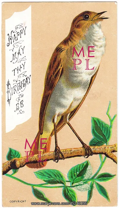 : Singing bird on a birthday card : Singing bird on a birthday card