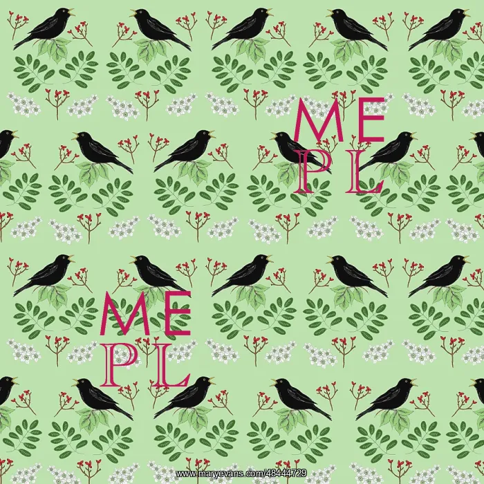  : Singing blackbirds with berries and flowers