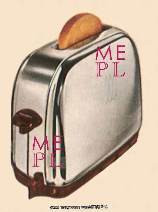 : Single-Slice Toaster : Single-Slice Toaster