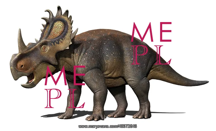  : Sinoceratops isolated on a white background