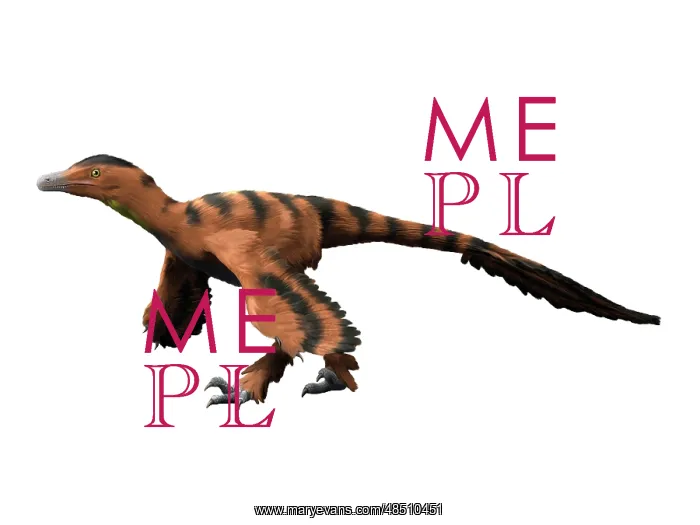 : Sinornithosaurus dinosaur : Sinornithosaurus dinosaur